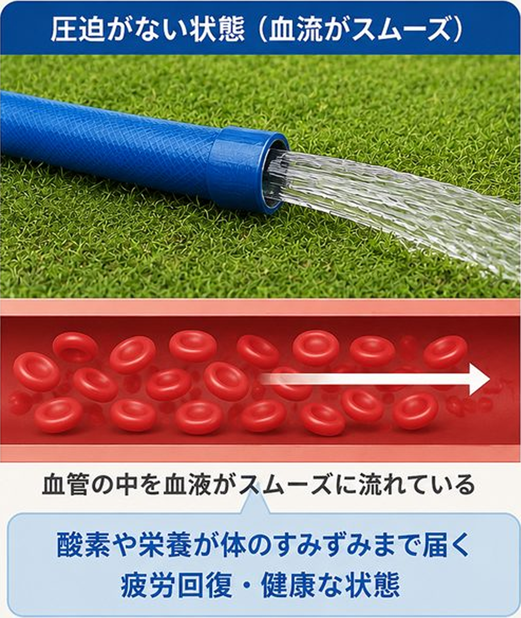 圧迫が無い状態（血流がスムーズ）